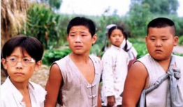 小兵张嘎电视剧,抗日烽火中的少年英雄传奇